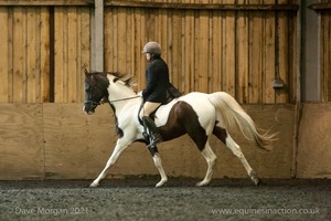 Isis Dressage Crown Farm Show 29th April 2012